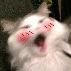 •แมว•เต้น•เพลง•เกมส์•การ์ตูน•หนังสือ
•หนัง•กิน•ติ่ง•นอน
•got7•bambam•MTBB
•nct•wayv•ten
-nctทุกยู-
•sj•eunhyuk