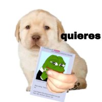 ๐HOURLY๐ shitpost (@hourly_shitpost) 's Twitter Profile Photo ๐HOURLY๐ shitpost (@hourly_shitpost) 's Twitter Profile Photo