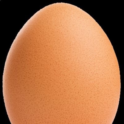 eggsfromdiscord's profile picture. iam eggs