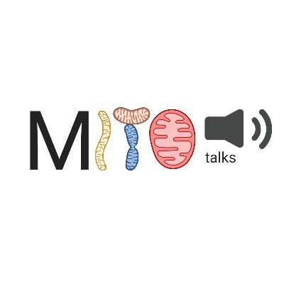 MitOtalks Profile Picture