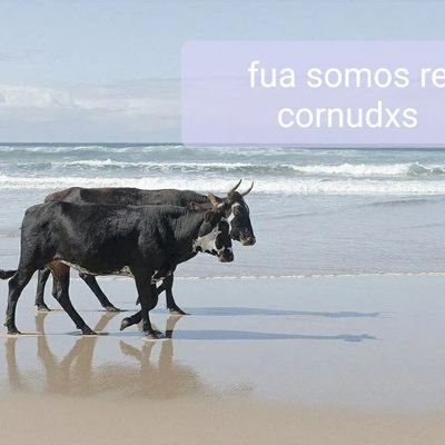 Somos 3 tristes vacas antifa. Robamos memes, algunos los hacemos. Desde ig para tw. Embeces dejamos de ser vacas y nos ponemos perrisimas.