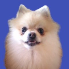 pasokon_utagetubeさんのプロフィール画像