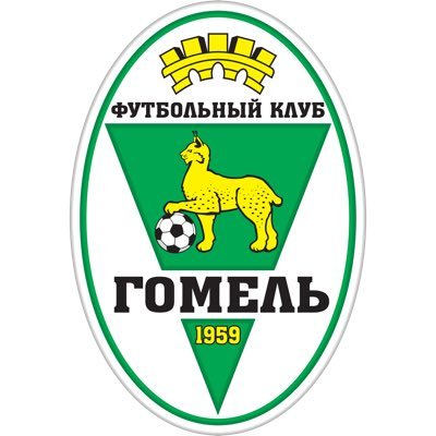 FC Gomel UK