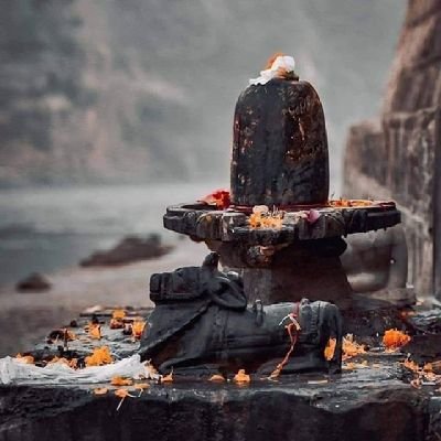 ShivSha09483397's profile picture. https://t.co/3M7RRjft7R
Link!!!✨