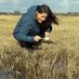 Mandy Schäfer 🦟 (@mosquitomandy) Twitter profile photo Mandy Schäfer 🦟 (@mosquitomandy) Twitter profile photo