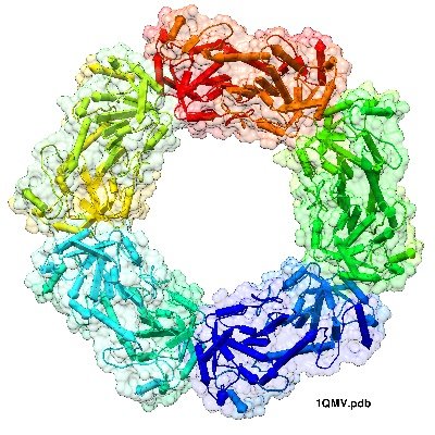 PROTEO Profile
