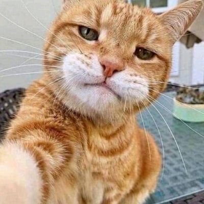 juanoguerrillas's profile picture. Si me dicen Chairo por creer que el estado debe crear oportunidades para TODOS entonces soy Chairo.