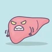 Just a liver trying to deal with Ryan.