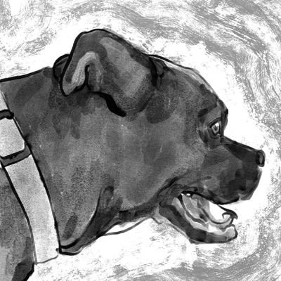 ami_ossi's profile picture. Los geht's Alter