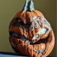 rra (@rra) 's Twitter Profile