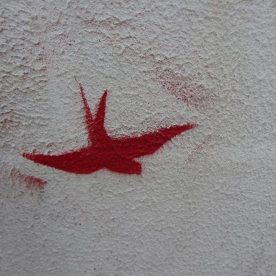 KamipeSrj's profile picture. Etudiante en herboristerie et membre de l'@IHT_fr