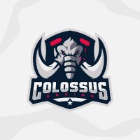 Colossus Gaming π¨π (@colossusgaminge) 's Twitter Profile