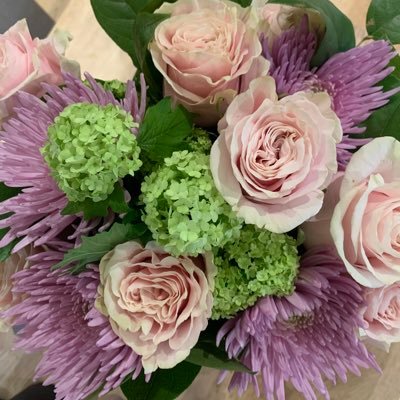 KB2179's profile picture. 