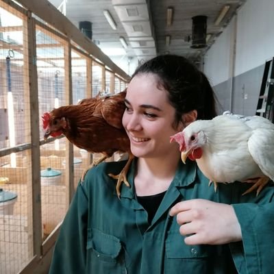 PhD student in the @ChickenStress network at @Vet_UniUtrecht 🔍
Investigating laying hen welfare mechanisms via ethology, neurobiology and endocrinology 🐣