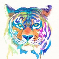 CHS Fine Arts (@chs_fineart) 's Twitter Profile