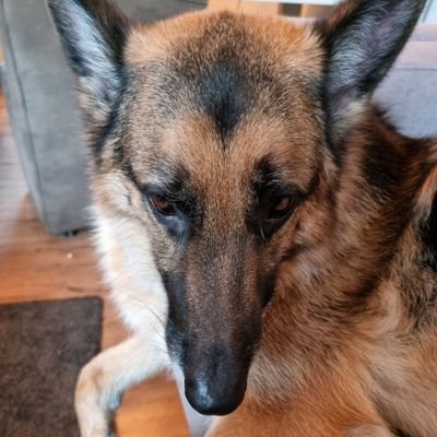 angeratein's profile picture. trading