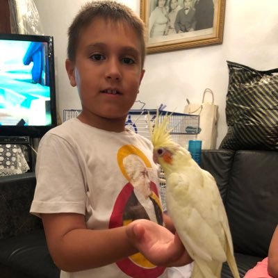 cenkruzgardogru's profile picture. Ne yapsalar boş, Göklerden gelen bir karar vardır.🇹🇷 ‏لا تحزن ان الله معنا Hüzünlenme ALLAH Bizimledir