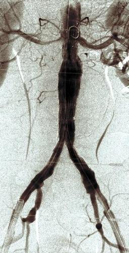 bloodplumber's profile picture. just a plumber...