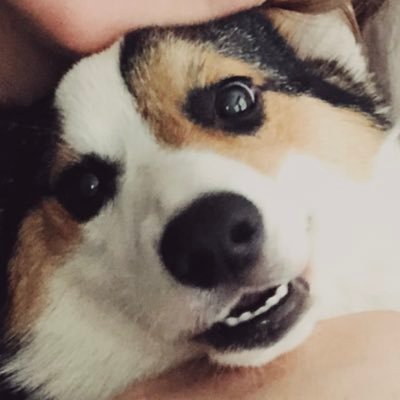 Bradley Phillipsさんのプロフィール画像