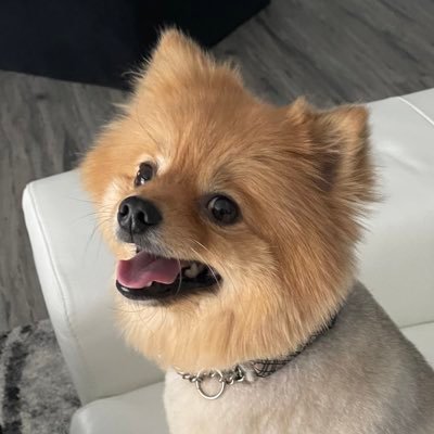 SusanneViolo's profile picture. 