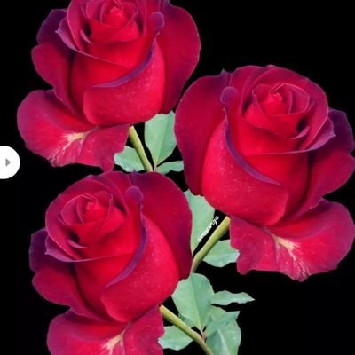 Aloneli17264174's profile picture. 💕 love 💕