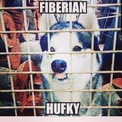 KatieDarling21's profile picture. 