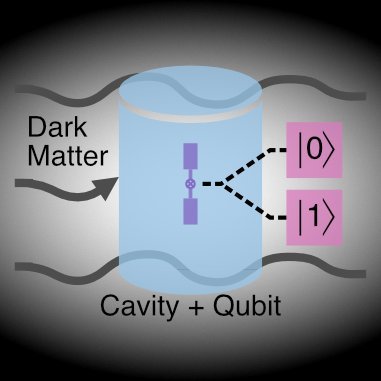 Superconducting Qubit Advantage for Dark matter (SQuAD). We use qubits to enhance the conversion of dark matter to light and detect the resulting signal.