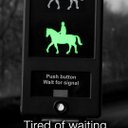 Caitlin Heller - @findmyhorsejob - Twitter