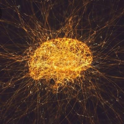 tatrbell's profile picture. we are no more than what we feel