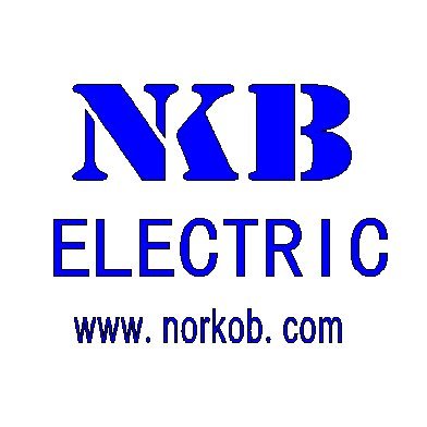 norkob_electric's profile picture. 