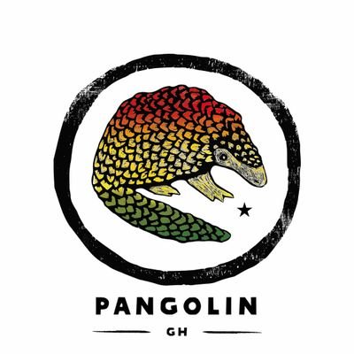 Promoting Pangolin conservation in Ghana through research, awareness raising, and conservation education by targeting the young generation.🇬🇭