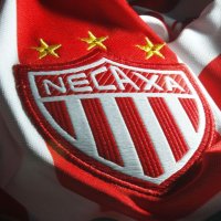 Rayos_del_Necaxa(@rayos_delnecaxa) 's Twitter Profile Photo