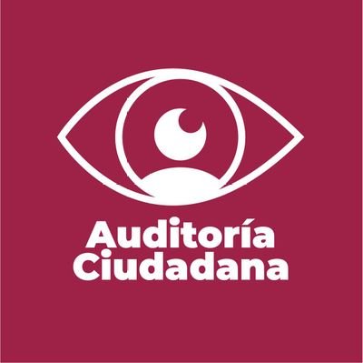 Auditoría Ciudadana