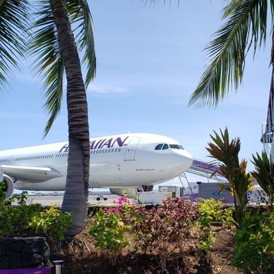 tecci13's profile picture. 