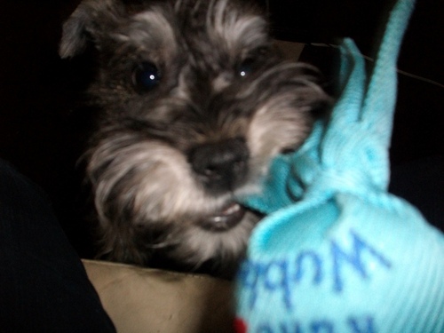 toniascook's profile picture. Failing to exist....