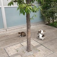 雅 【土日祝定休宜しくお願い致します】 (@miyabikoutarou) 's Twitter Profile Photo 雅 【土日祝定休宜しくお願い致します】 (@miyabikoutarou) 's Twitter Profile Photo