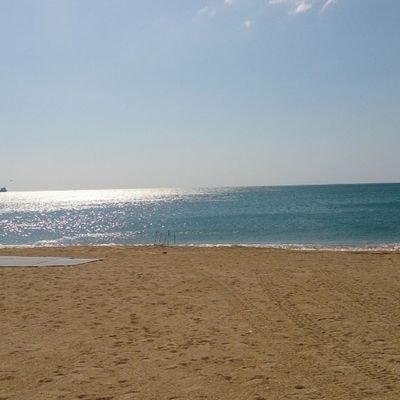 alexismarcano's profile picture. 