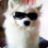 barkusbill's profile image