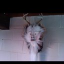 donald blank - @elmodeering - Twitter