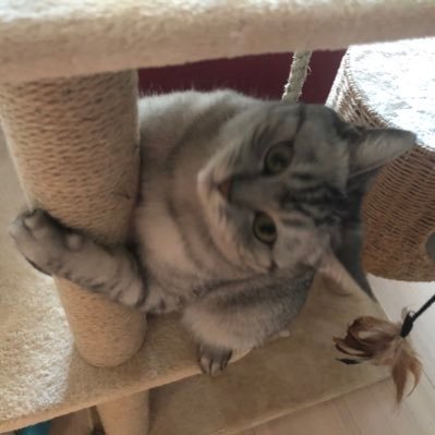 1_freeman2's profile picture. Be simple