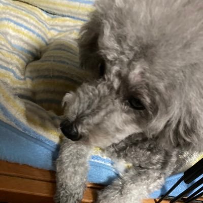 Masato_aporo's profile picture. 立命 情理 新3回生 SN