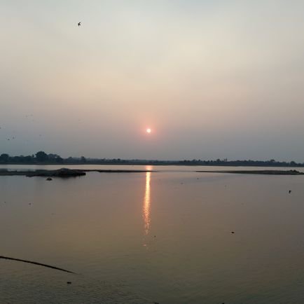 i_am_Leslie's profile picture. Veterinarian& Animal breeder working  at @IcarPoultry DPR, Hyderabad under @icarindia. Previously worked at CSWRI, Avikanagar. RT does not imply endorsement.