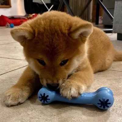 BelmondMario's profile picture. The greater the artist, the greater the doubt. Perfect confidence is granted to the less talented as a consolation prize.