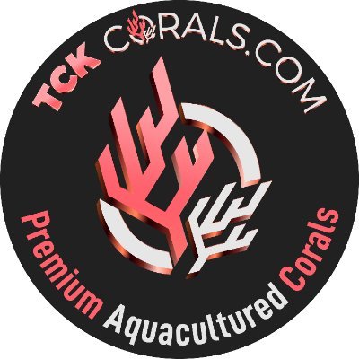 Premium Aquacultured Corals Grown In Buffalo, New York.