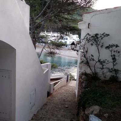 magi601's profile picture. Testejant