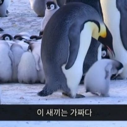 계이 김루마さんのプロフィール画像