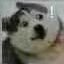 Bean (@wheneverorange) Twitter profile photo