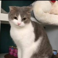 Samantha FREEMAN ❤️ Memecoin (@samanth05370087) 's Twitter Profile
