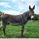 Hugo Marin Jaramillo - @PR0TE0 - Twitter