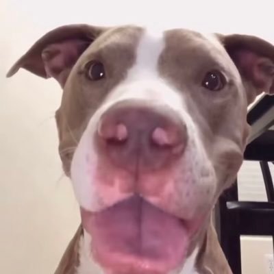 WooLock2's profile picture. 